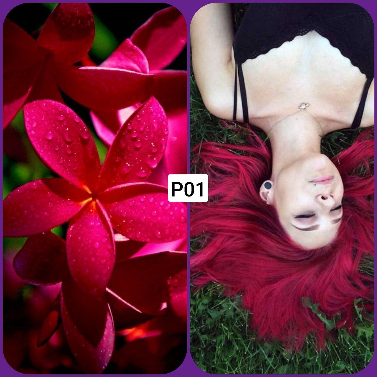 Стойкая краска для волос Anthocyanin P01 — Indian Pink