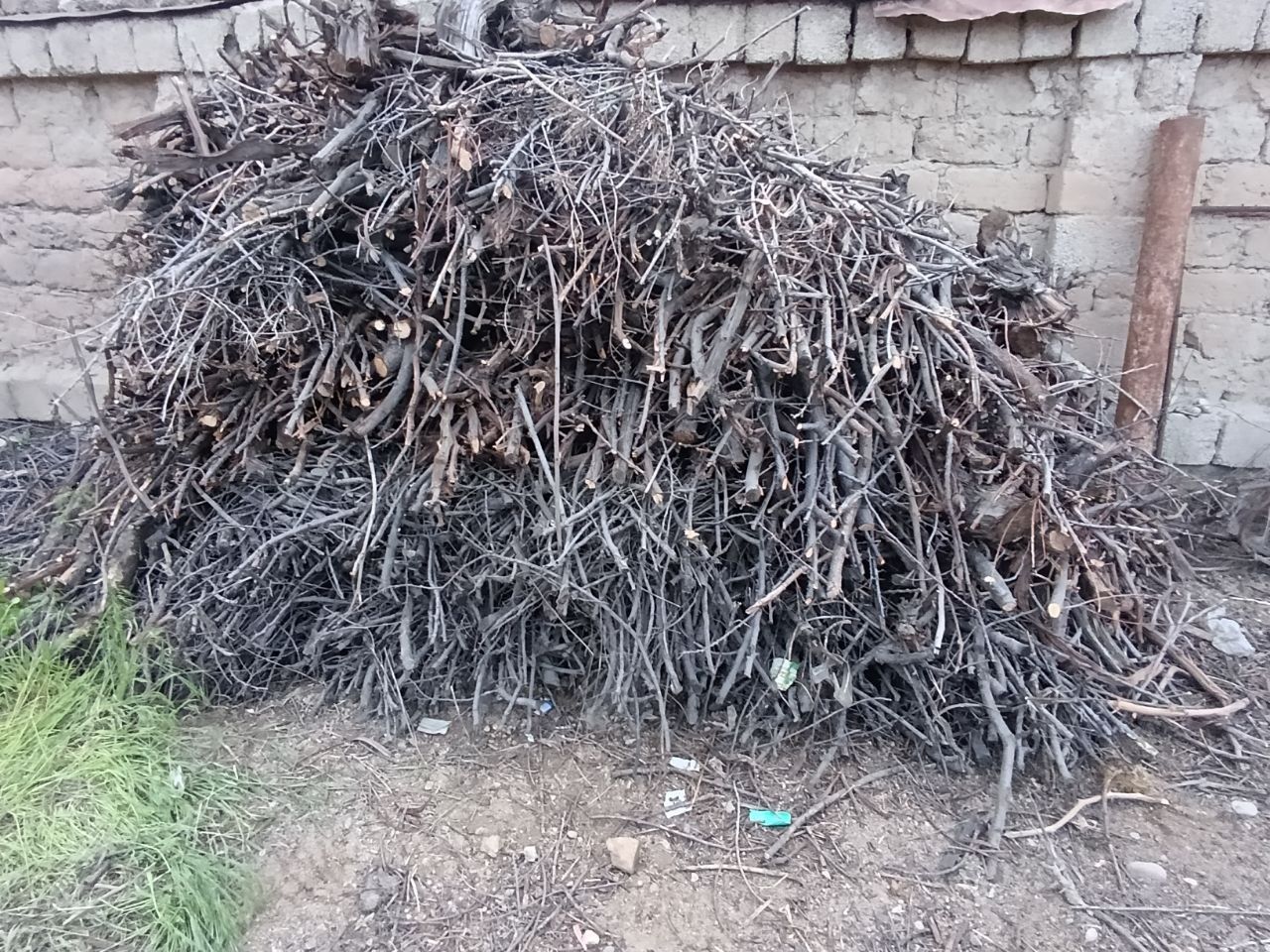 Quruq O'tin sotiladi