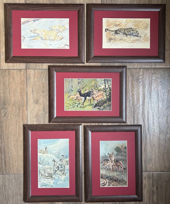 T Schipor 5 Tablouri Tematica Vanatoreasca picturi anii 60 rama 26x35