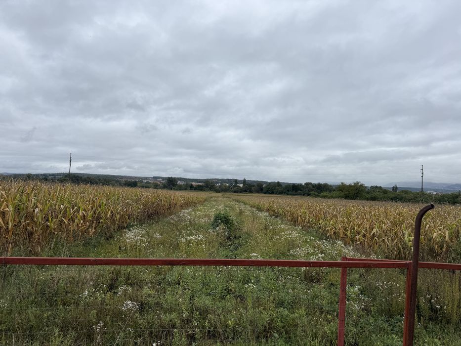 Vand teren intravilan 2000m2 in sat Hotarel / Stei