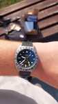 Timex gmt titanium