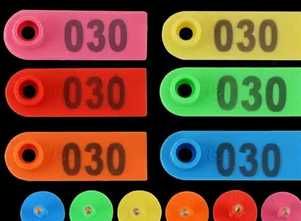 Crotali-Cleste de Crotaliat de Vanzare