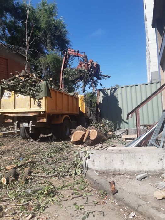 Спил, распил деревьев профессионально и не дорого. Вывоз. Верхолазы.