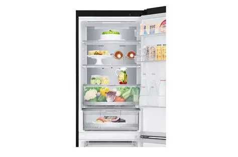 холодильник  lg есть доставка и установка 24/7