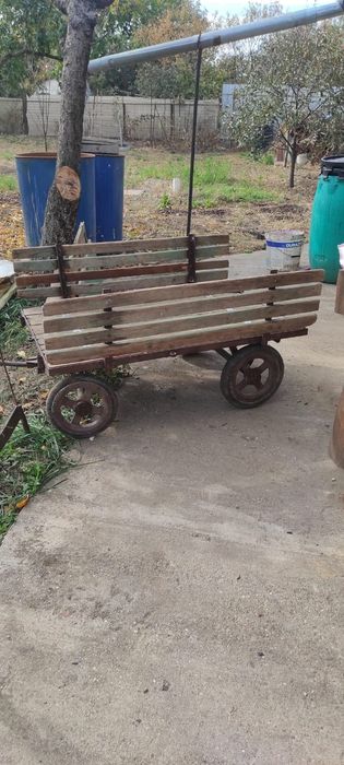 Carut de transportat