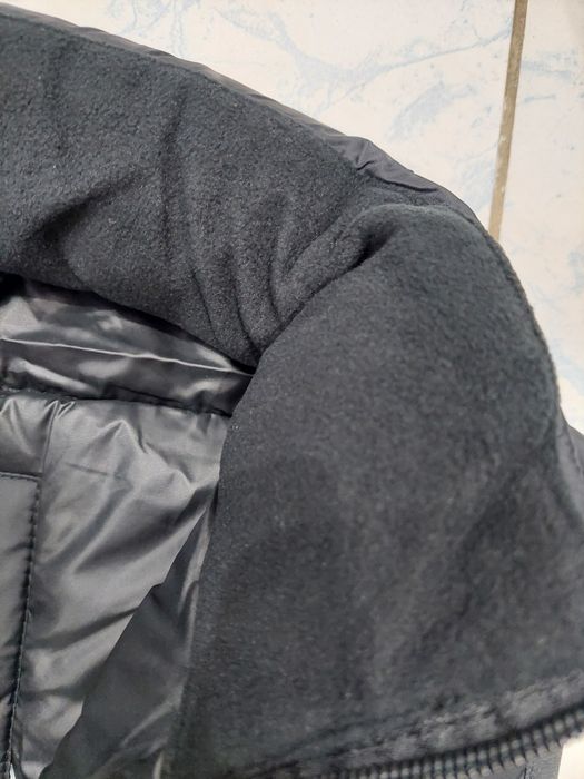 Vesta barbati  Hollister M, L