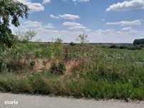 Teisor (Gr) - 2 Terenuri Lipite (Tot. 16500 Mp) De Vanzare 90K Eur Neg