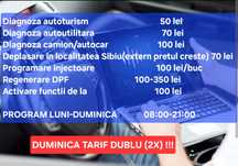 Diagnoza Auto/camion,50lei Erori Regenerare DPF filtru particule