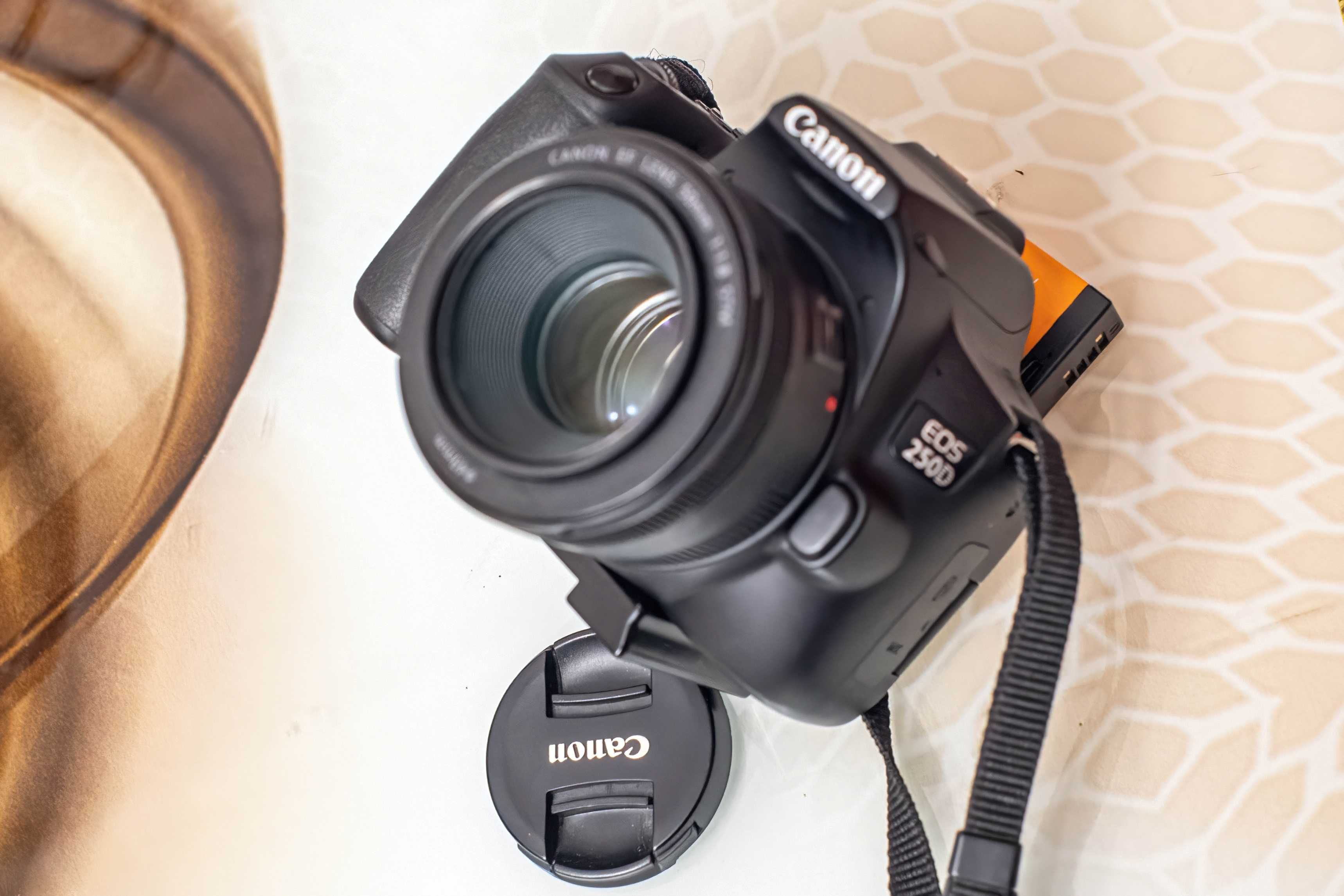 Canon 250D/ Sigma 17-50 2.8/Canon 50 1.8/Speedlite 430 II