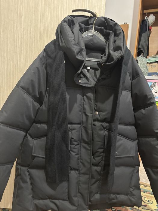 Қутка қыстық (Жаңа)