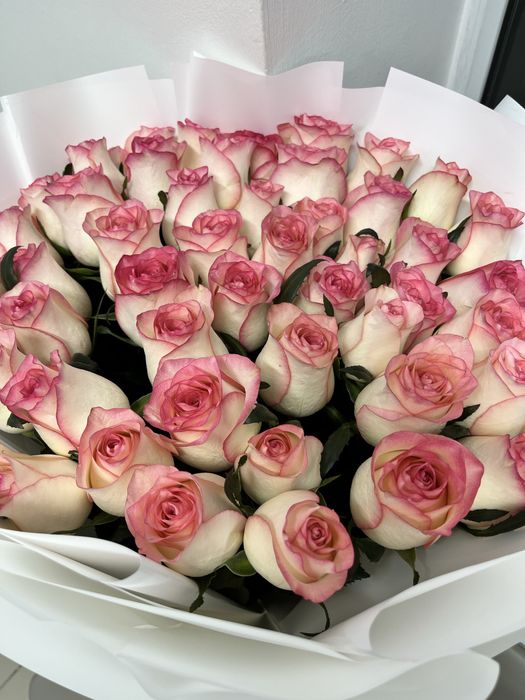 51 роза  свежые новые срочно можно договориться