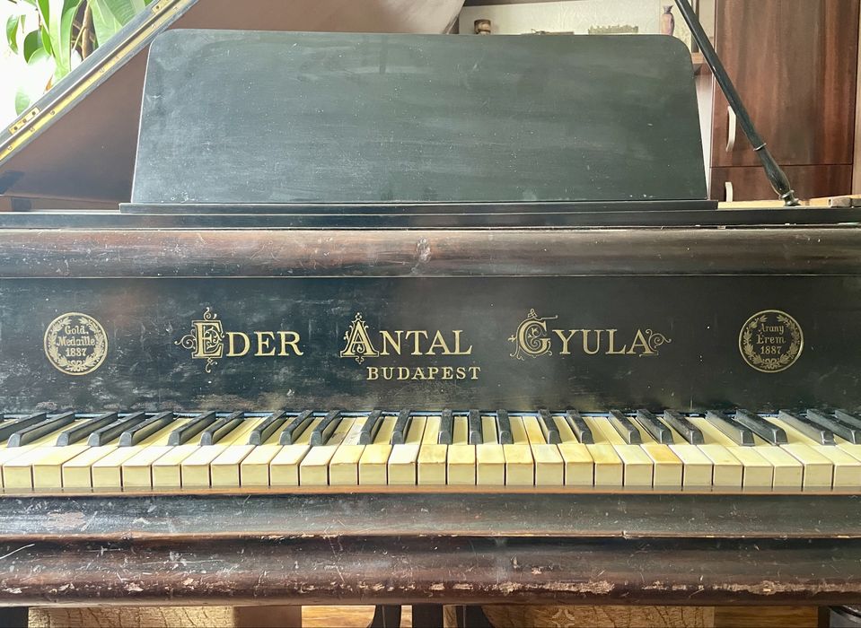 Pian cu coada medie 1887