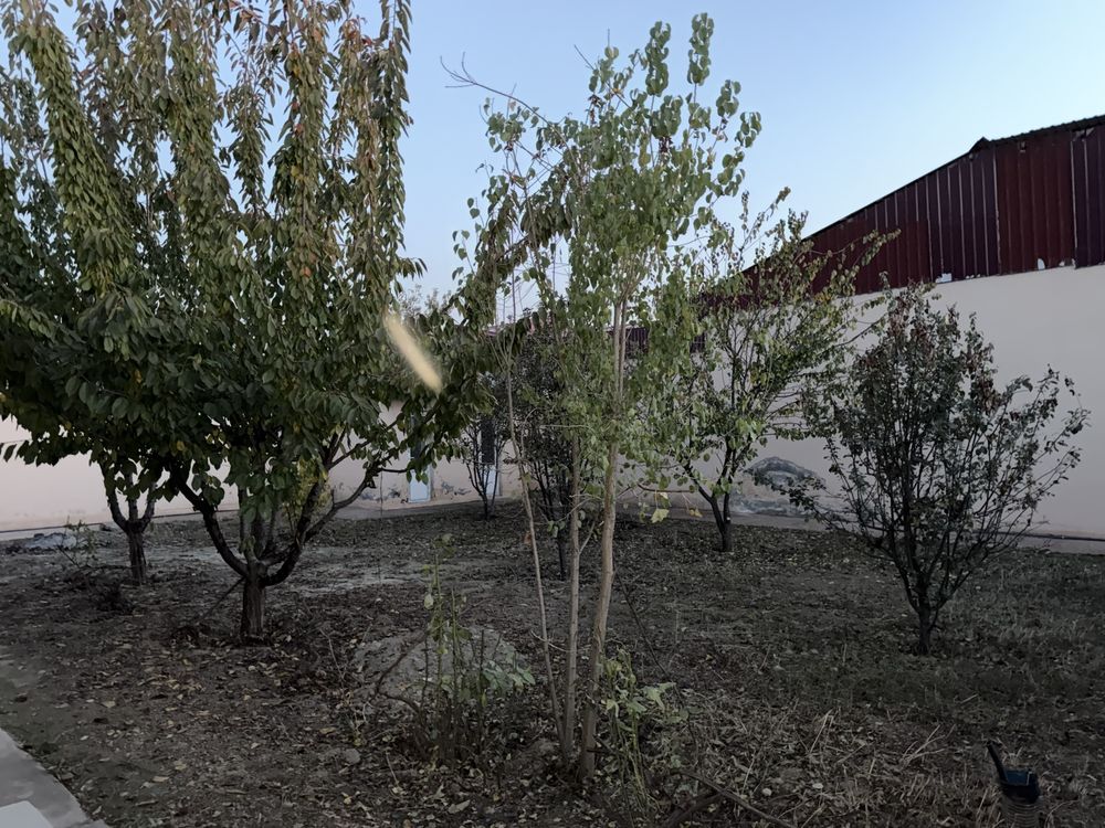 Продаётся коттедж 6 соток, г.Самарканд, Чортут, с ремонт