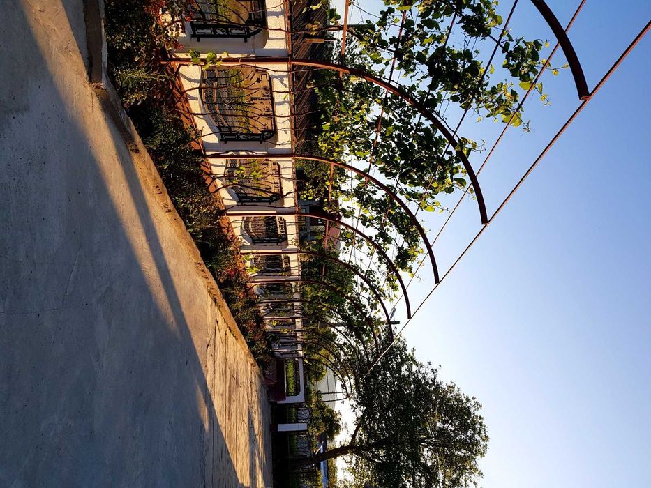 Gard Metalic Fier Forjat