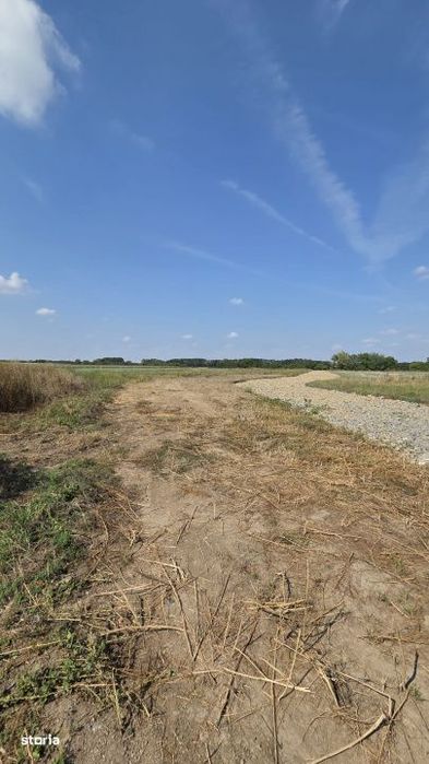 Teren intravilan de vanzare – Zona Aquastar / Str. Gorunului – 406