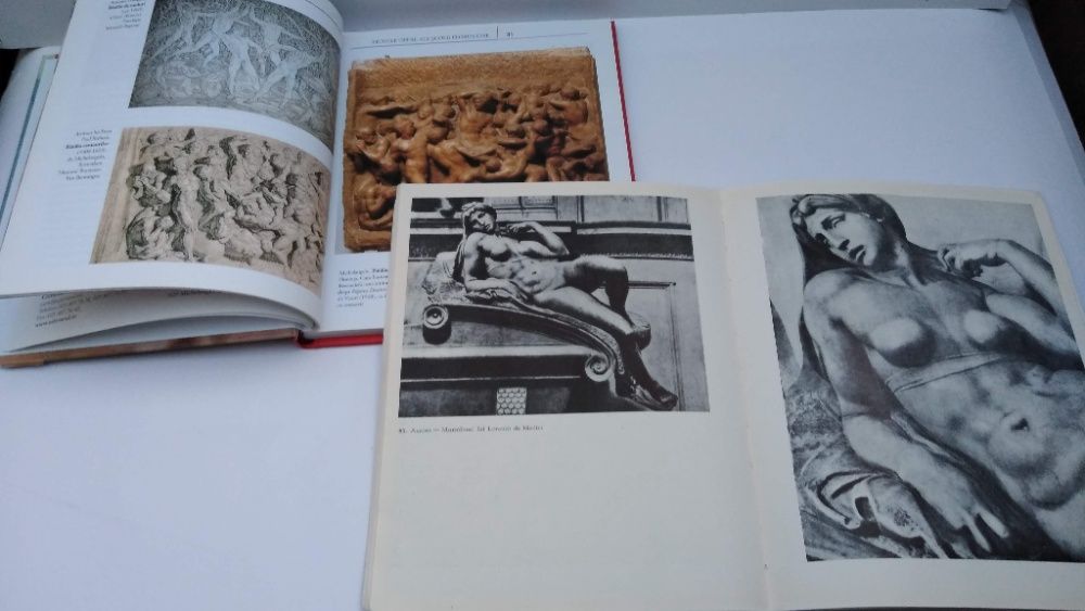 Michelangelo - 2 vol. - Maestrii artei universale - Viata si opera lui