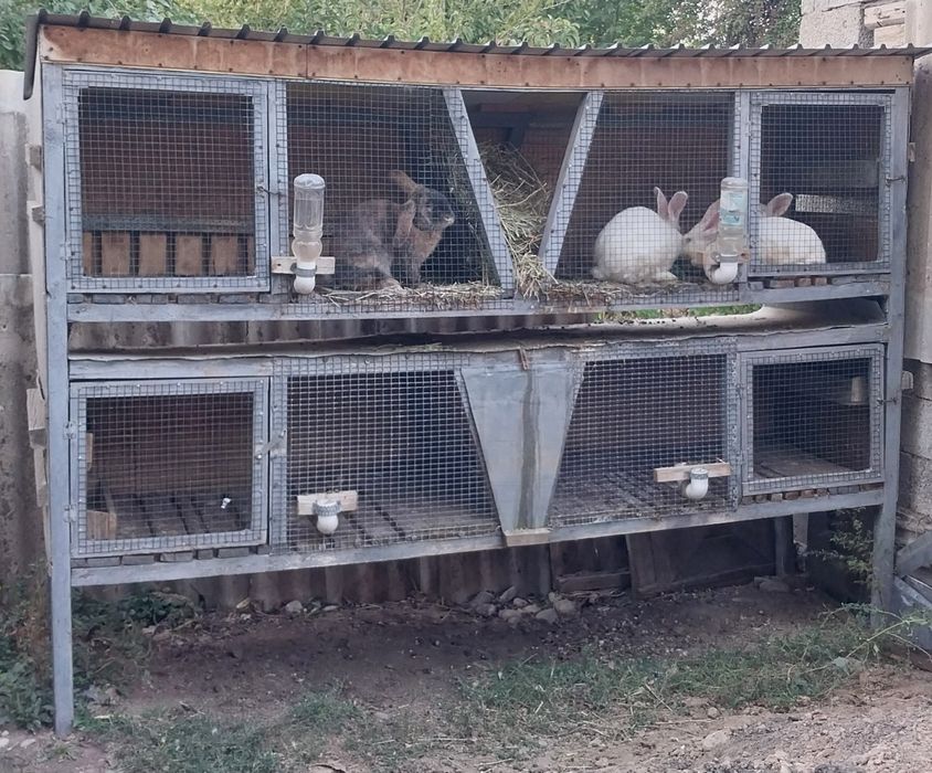 Продаются клетки для кроликов