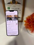 HOPE AMANET P2-Iphone 13 pro max 256 GB/ 76 BAT