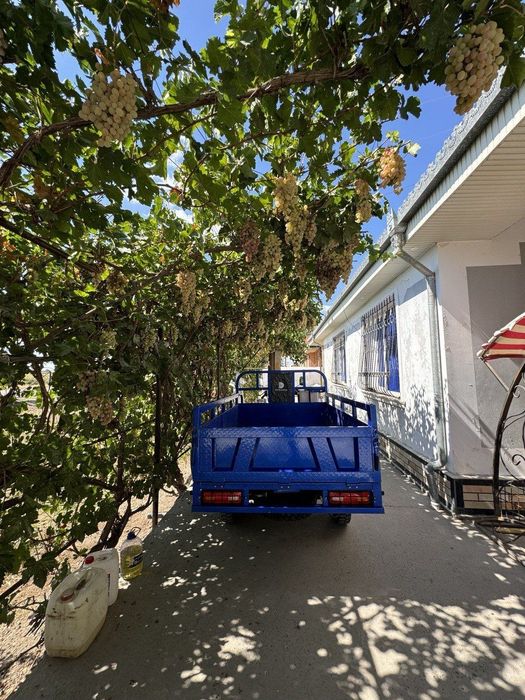 Demansh Muravey 200 motor zavodskoy Cho'nkarak yangidek