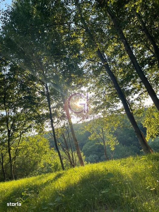 Teren Intravilan superb in Cisnadioara pentru resedinta ta de lux .