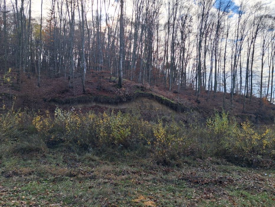 Teren intravilan 409 mp + 5000 mp pădure la intrare în Curtea de Argeș