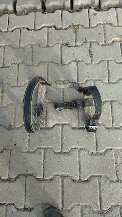 Ошейник для собак в хорошем состоянии