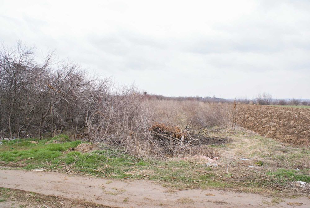 De vanzare- Teren intravilan 1000mpAdunatii Copaceni