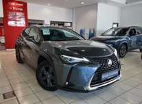 Lexus UX Lexus  UX-Serie UX 250h Style+ Edition IN STOC LA SIBIU