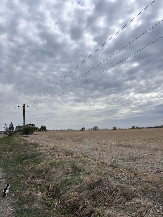 Teren intravilan de vanzare - Carligei Bucovat