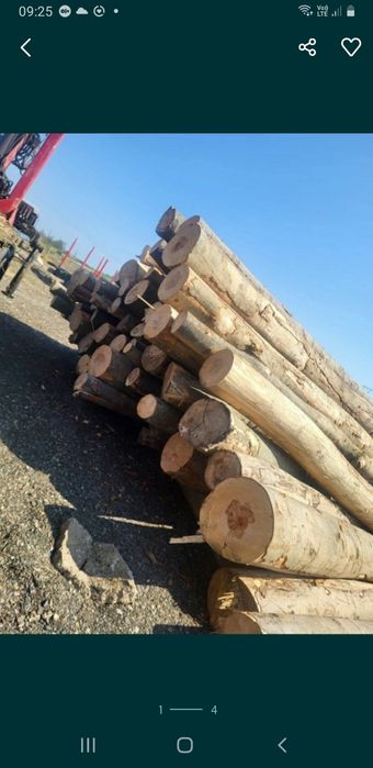 Vand lemne de foc Bustan fag