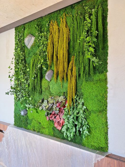 Декоративни пана със Скандинавски мъх