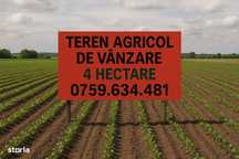 Teren arabil 4 hectare -Satu Nou (Tulcea)
