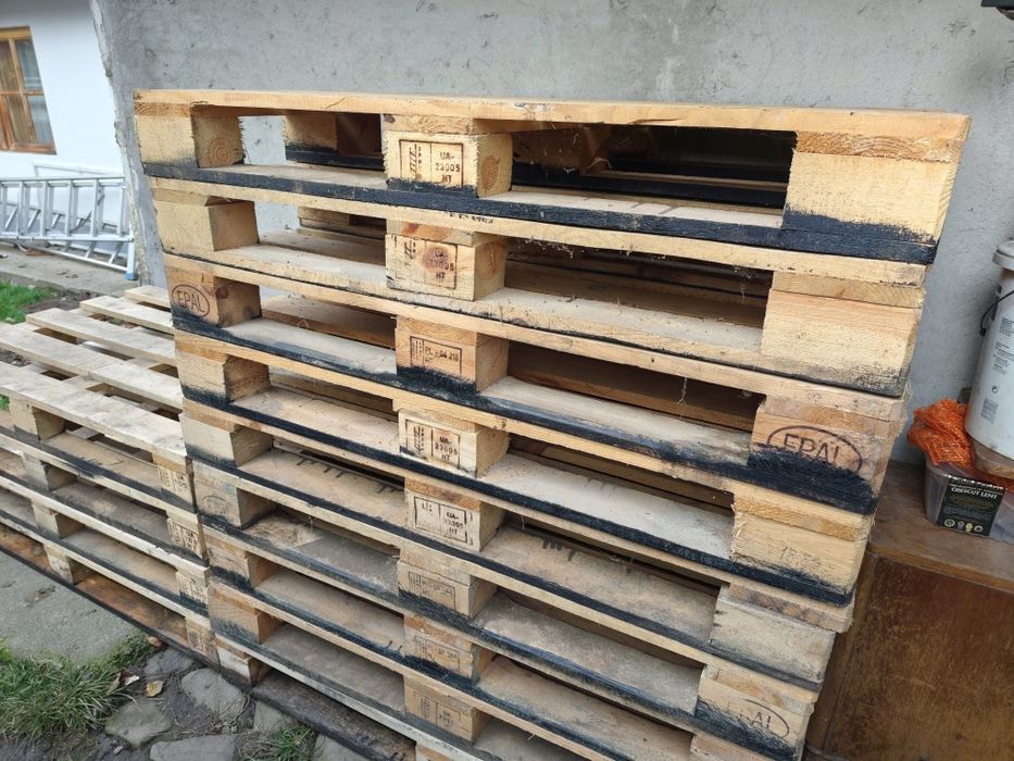 Europalți și noneuro