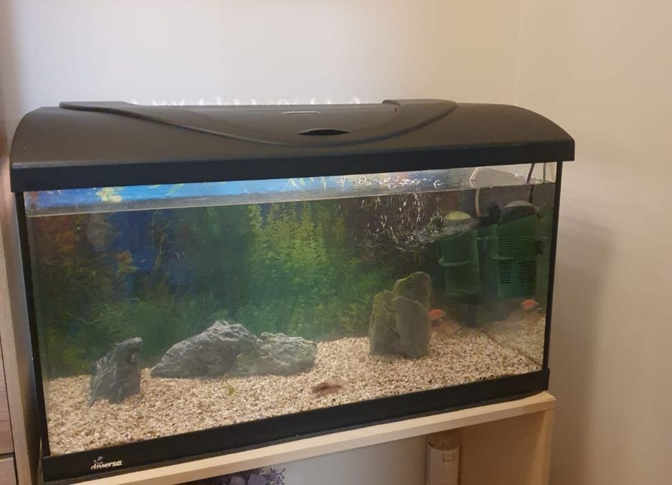 Acvariu diversa 112l