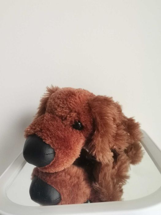 5 Catei de plus de colectie The Dog