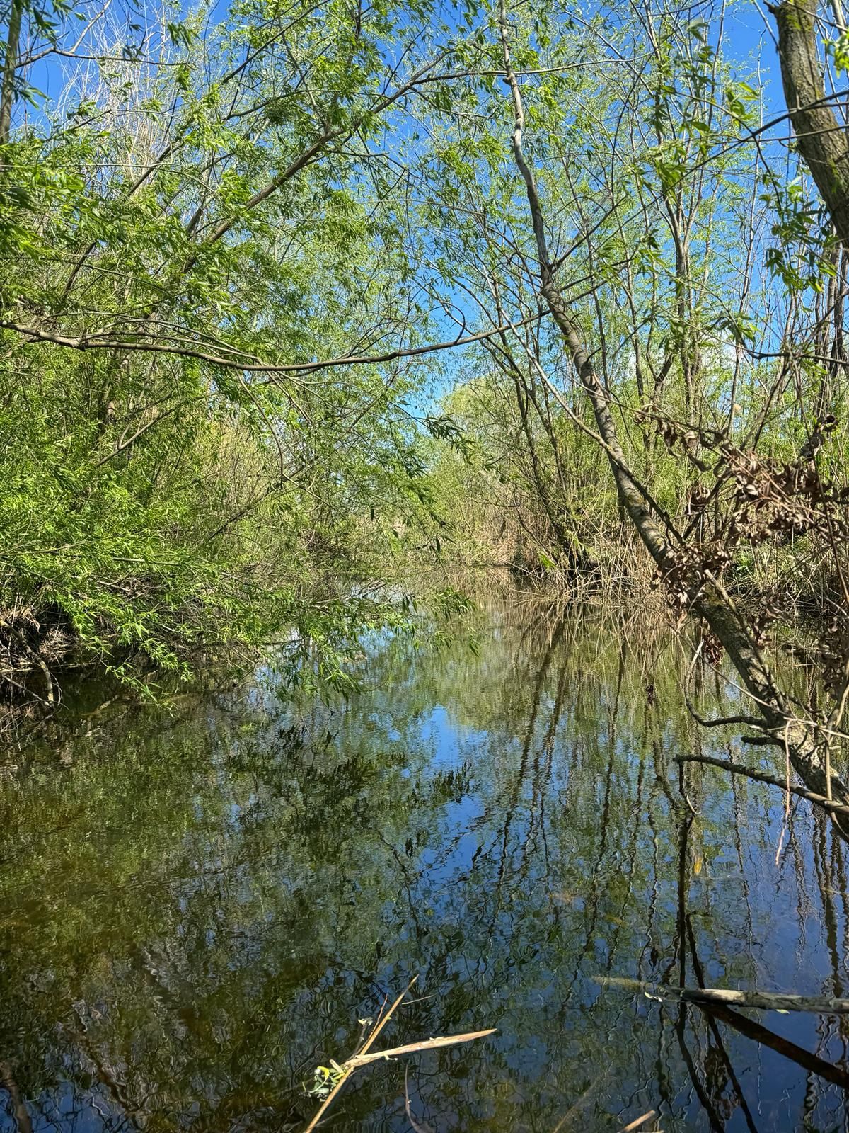 Vând teren, iaz, balta, lac