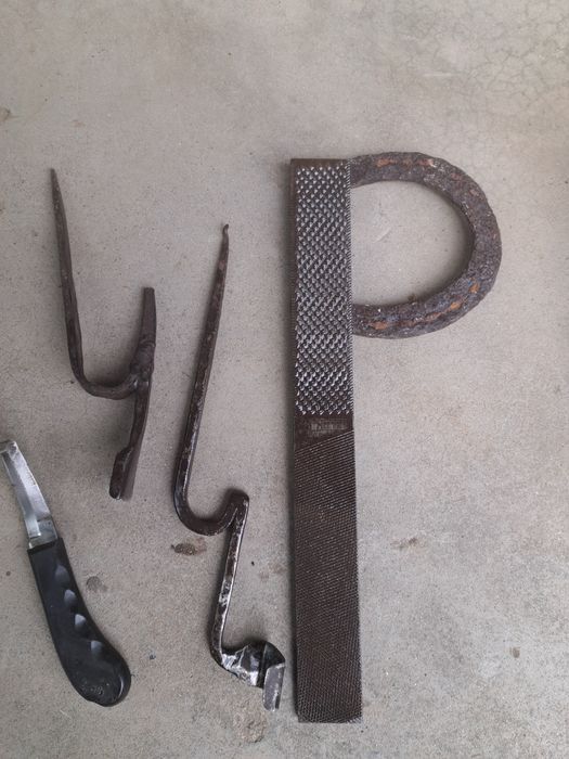 Scule / rașpel copite cai