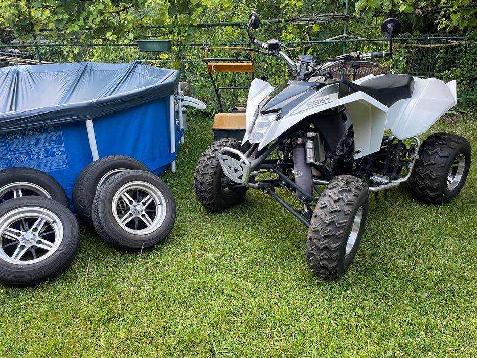 ATV 300 cc Egl mad max