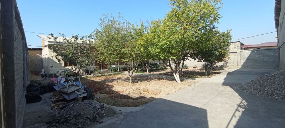 Сероили Хонобод 6 сотихли