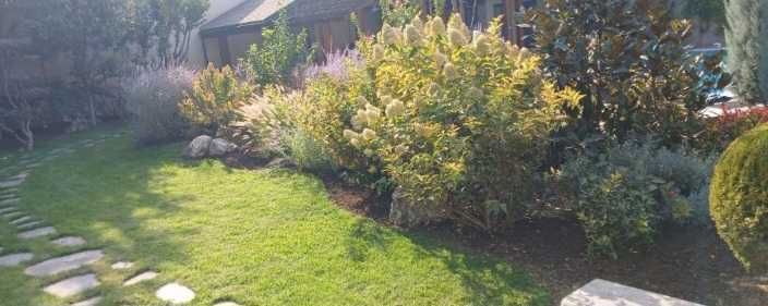 Посадка растений. Уход газонов.