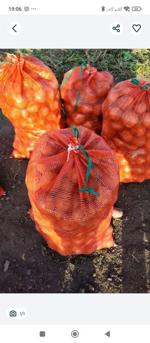 Продам картофель
