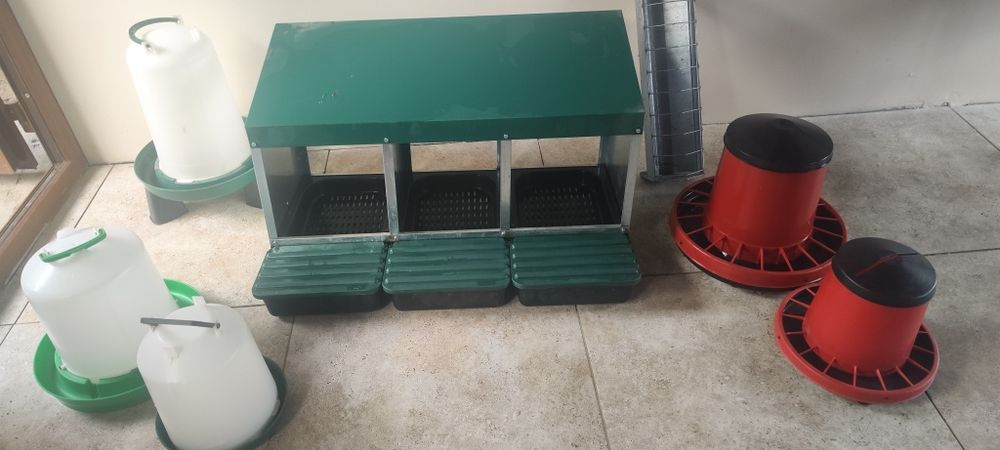 Incubator cleo5 și puisor