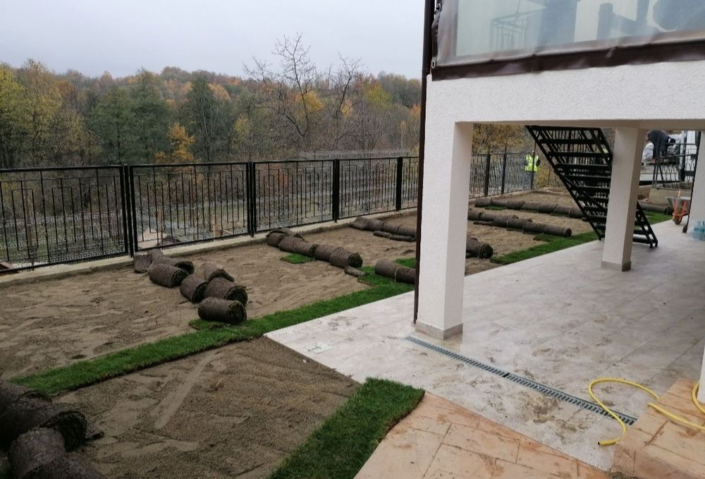 Gazon rulou de trafic 24 de lei m2. Transport și montaj inclus în preț