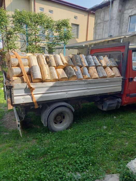 Vind  lemne esenta tare fag stejar salcim