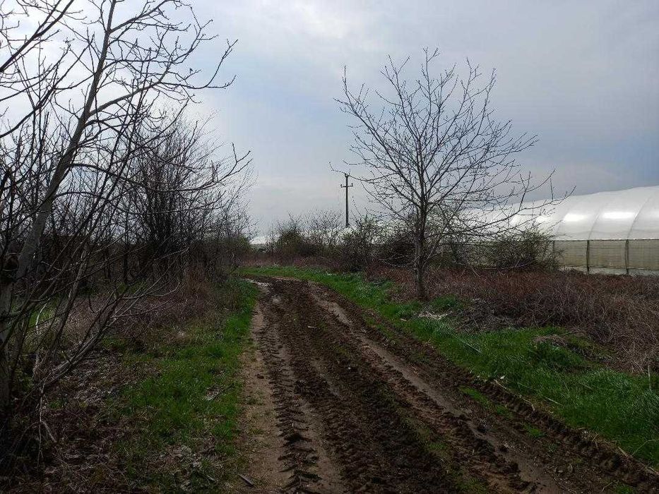 Varlaam , Adunatii Copaceni , Giurgiu - teren de la PROPRIETAR