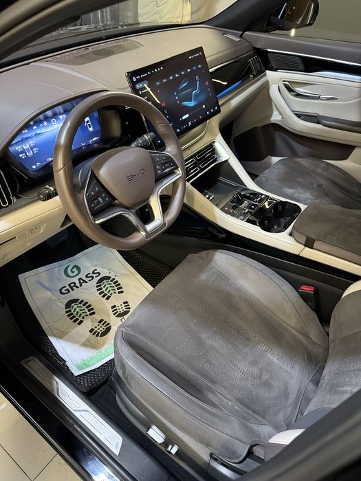 BYD Champion 2024 Restailing