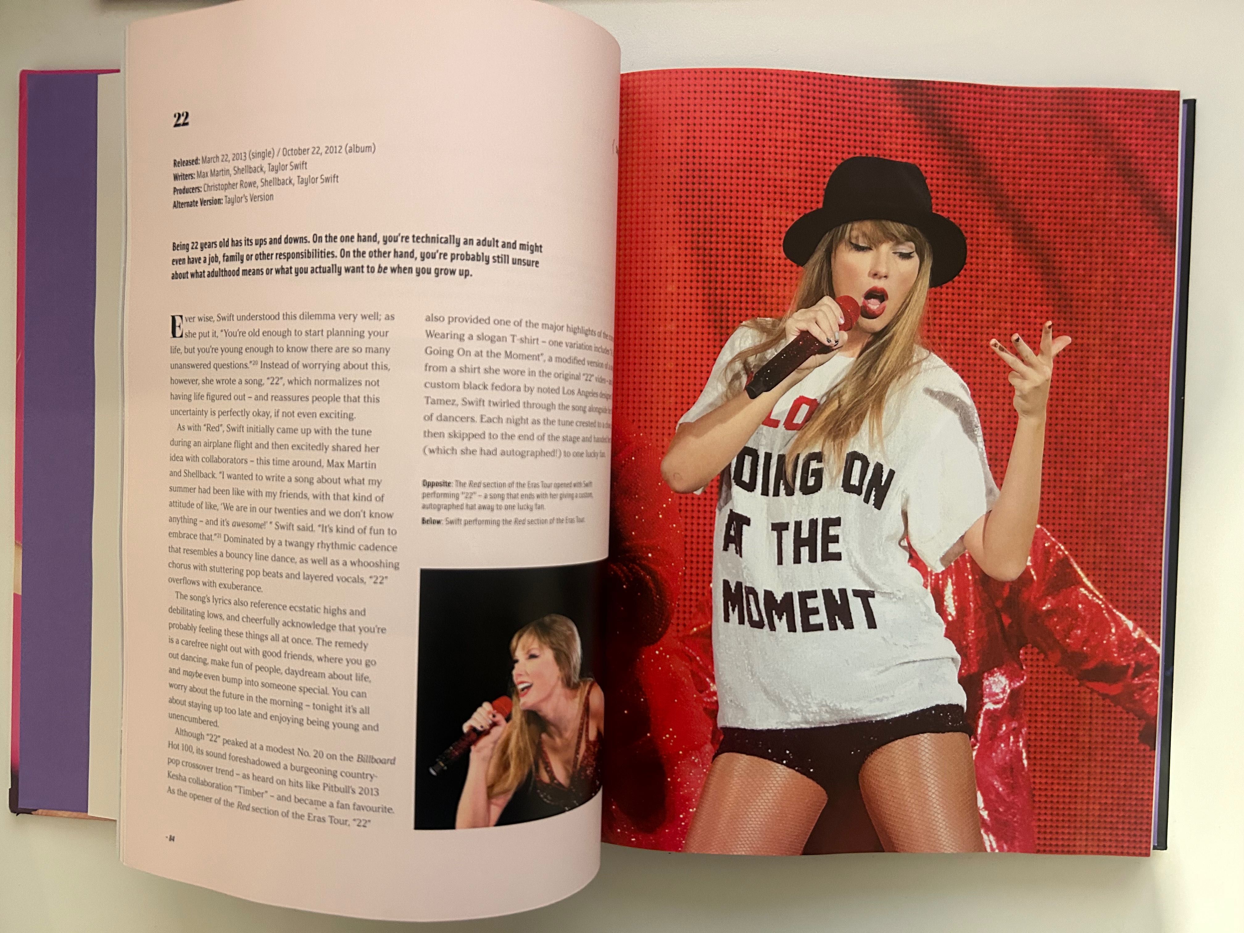 Taylor Swift - The Stories Behind the Songs XL (22.3 x 28.7)