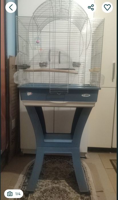 Colivie/voliera papagali