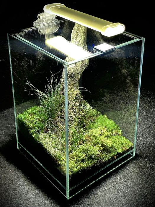 Set acvariu ideal pt. plantat low tech si/sau creveti/betta, Terariu