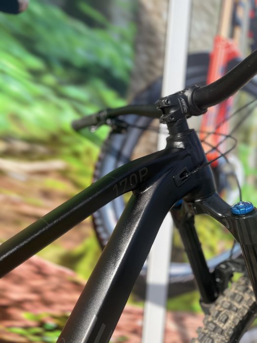 Cube stereo one77 pro 29/L